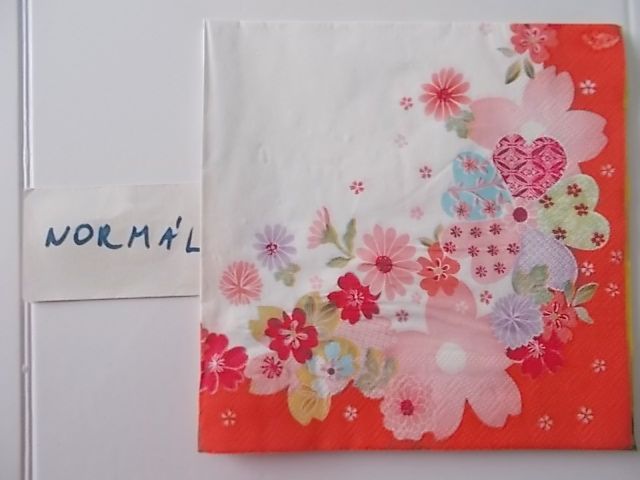 szalvta: PID31331.JPG