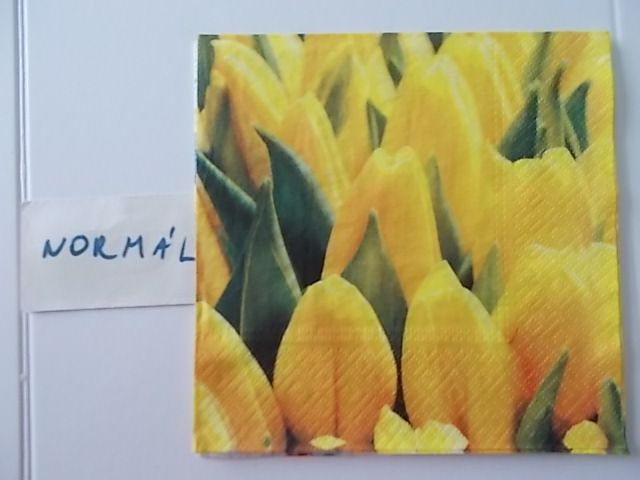 szalvta: PID31332.JPG