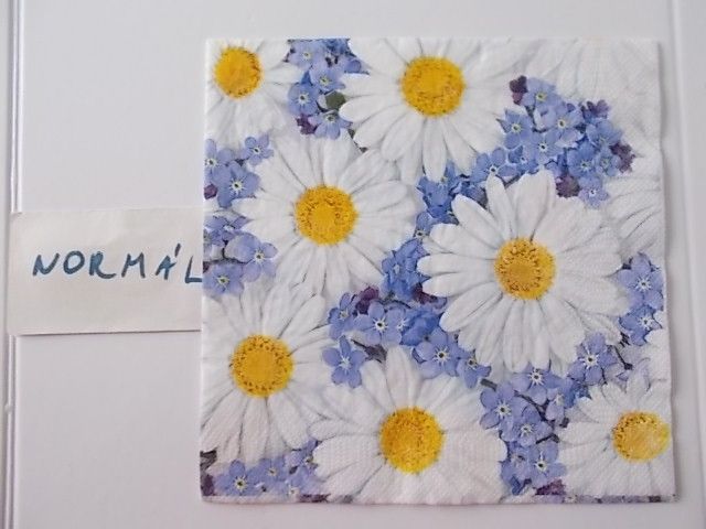 szalvta: PID31333.JPG