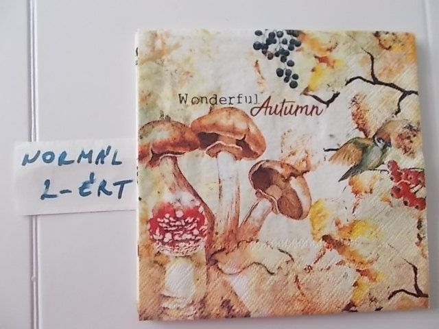 szalvta: PID31335.JPG