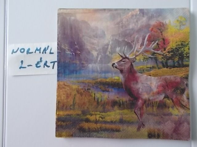 szalvta: PID31381.JPG