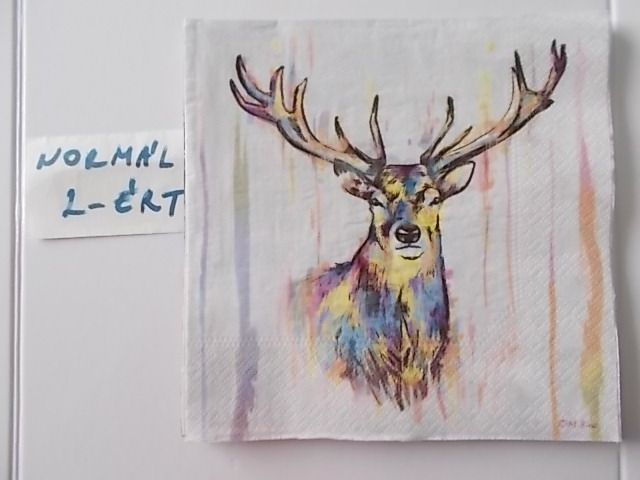 szalvta: PID31382.JPG