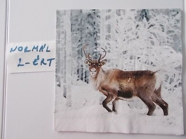 szalvta: PID31389.JPG