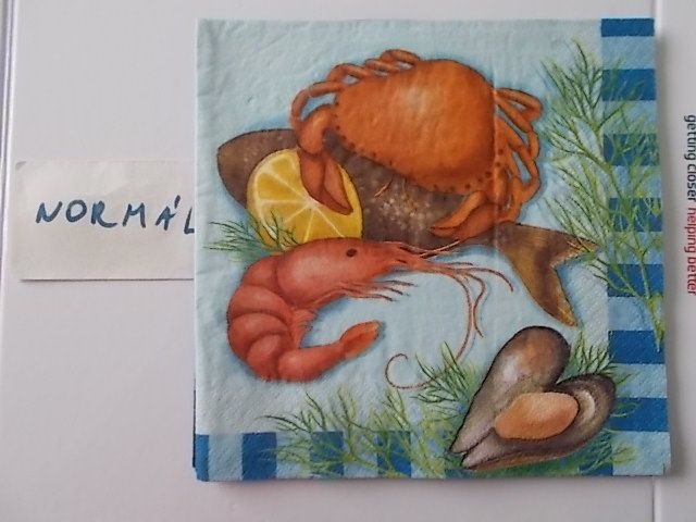 szalvta: PID31401.JPG