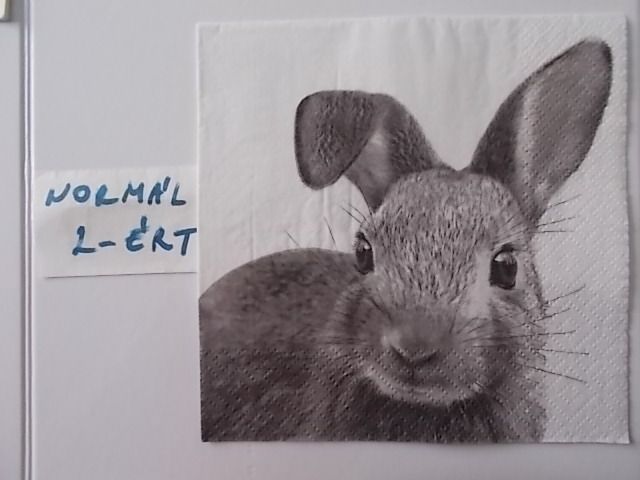 szalvta: PID31408.JPG