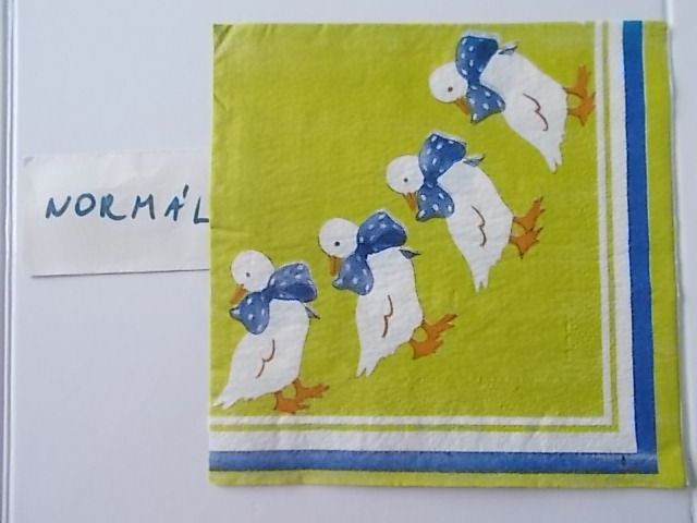 szalvta: PID31423.JPG