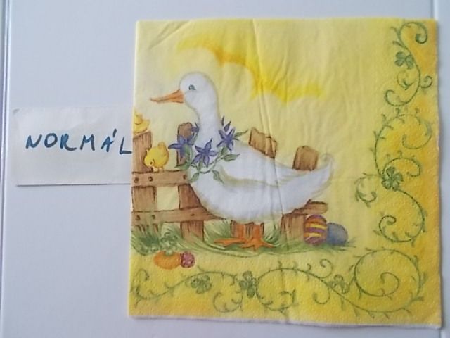 szalvta: PID31424.JPG