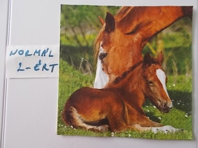 szalvta: PID31427.JPG