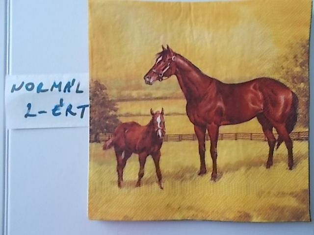 szalvta: PID31431.JPG