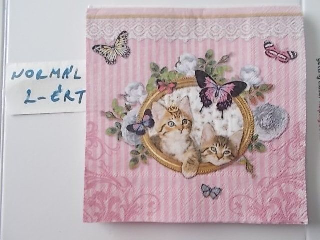 szalvta: PID31445.JPG