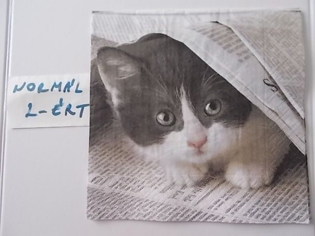 szalvta: PID31446.JPG