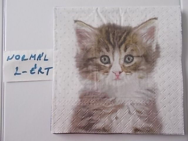 szalvta: PID31459.JPG