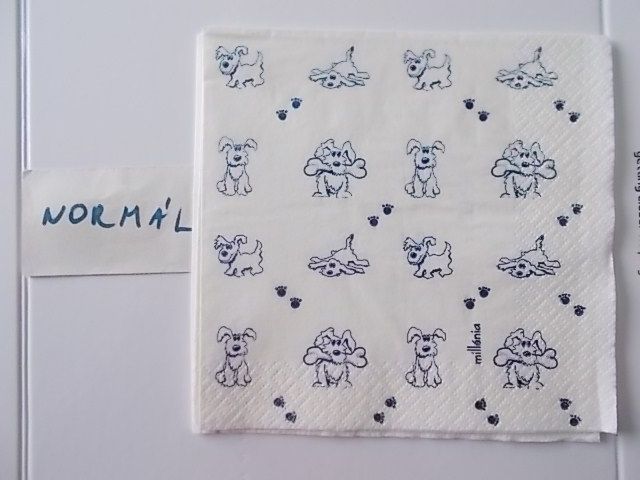 szalvta: PID31463.JPG