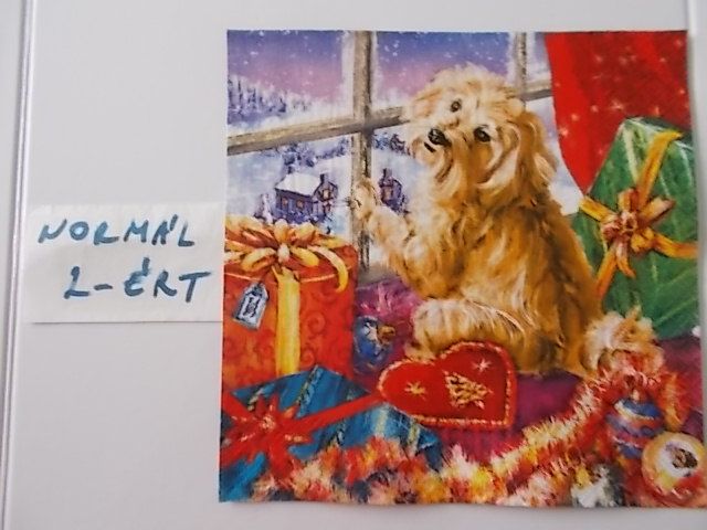 szalvta: PID31470.JPG