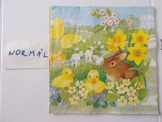 szalvta: PID31477.JPG