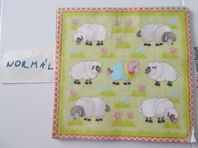 szalvta: PID31479.JPG