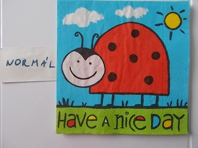 szalvta: PID31487.JPG