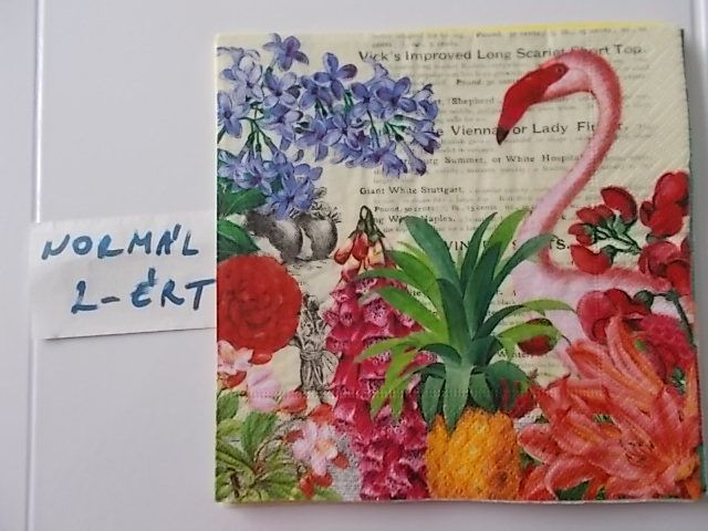 szalvta: PID31511.JPG