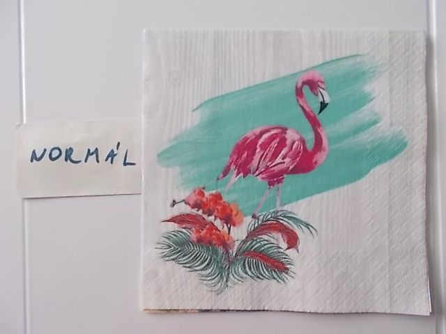 szalvta: PID31513.JPG