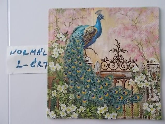 szalvta: PID31523.JPG