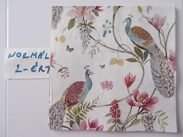 szalvta: PID31524.JPG