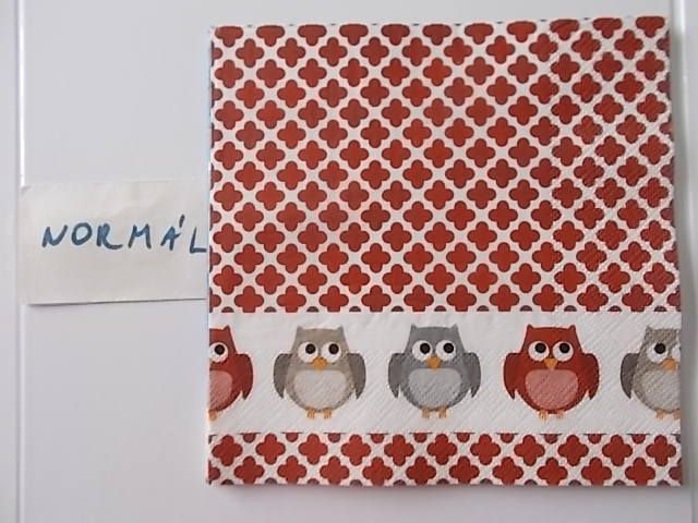 szalvta: PID31529.JPG