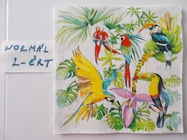 szalvta: PID31534.JPG