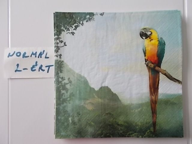 szalvta: PID31535.JPG