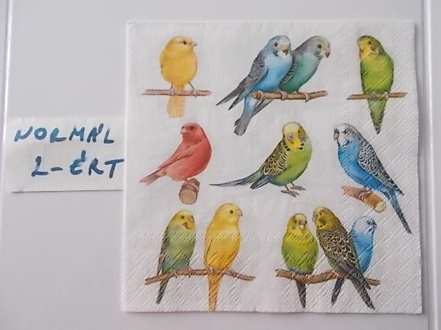 szalvta: PID31537.JPG