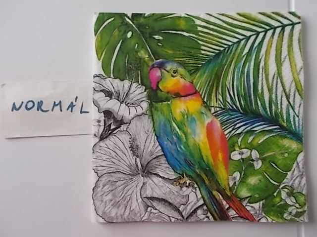 szalvta: PID31538.JPG