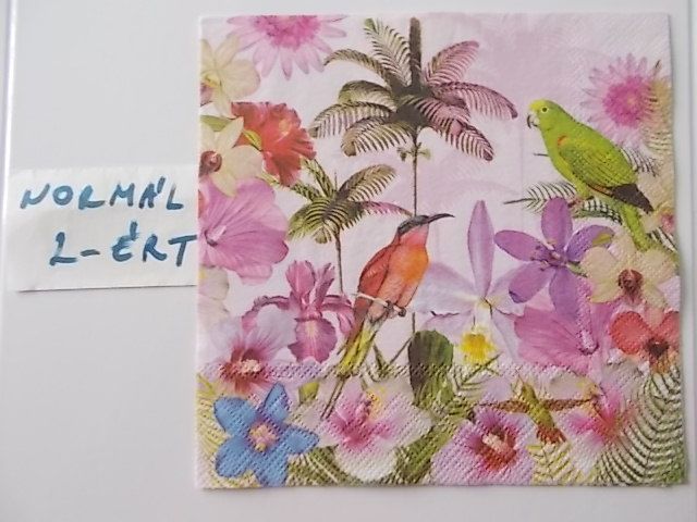 szalvta: PID31539.JPG