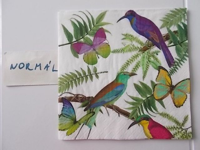 szalvta: PID31540.JPG