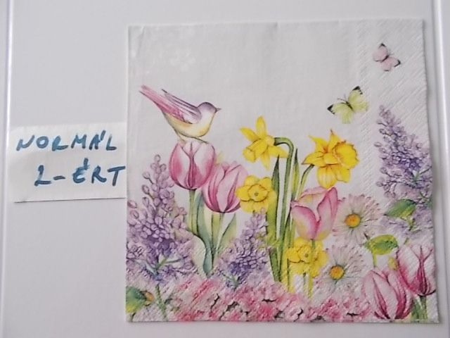 szalvta: PID31543.JPG