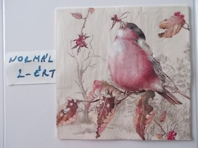 szalvta: PID31550.JPG