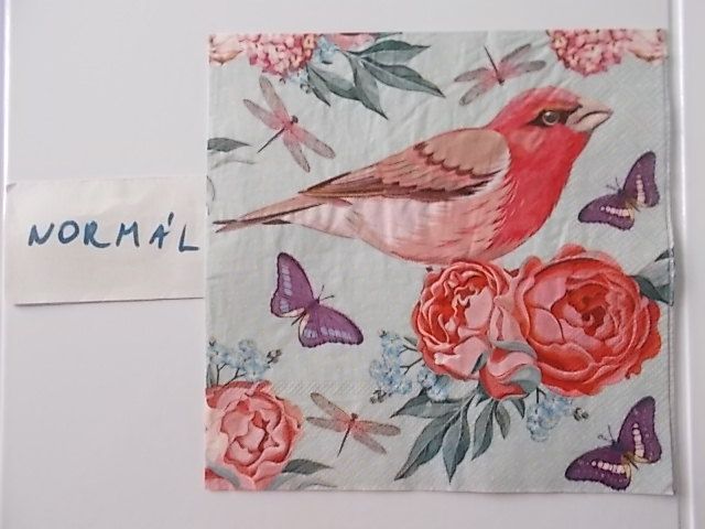 szalvta: PID31553.JPG