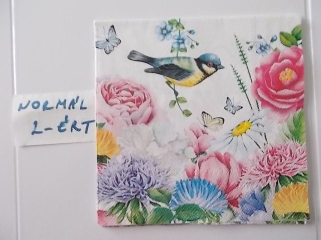 szalvta: PID31561.JPG