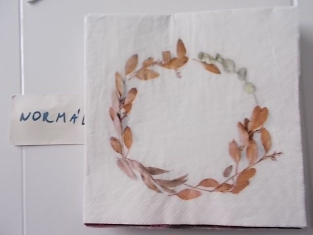 szalvta: PID31668.JPG