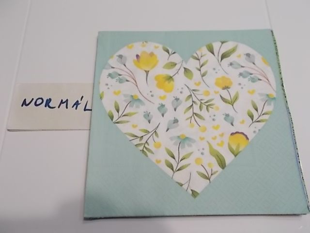 szalvta: PID31716.JPG