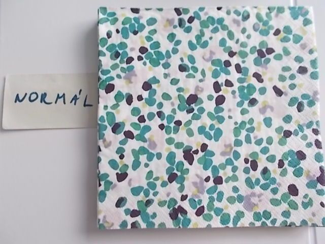 szalvta: PID31848.JPG