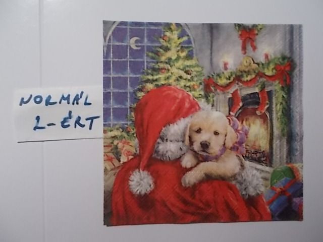 szalvta: PID31936.JPG