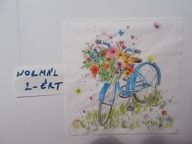 szalvta: PID31943.JPG