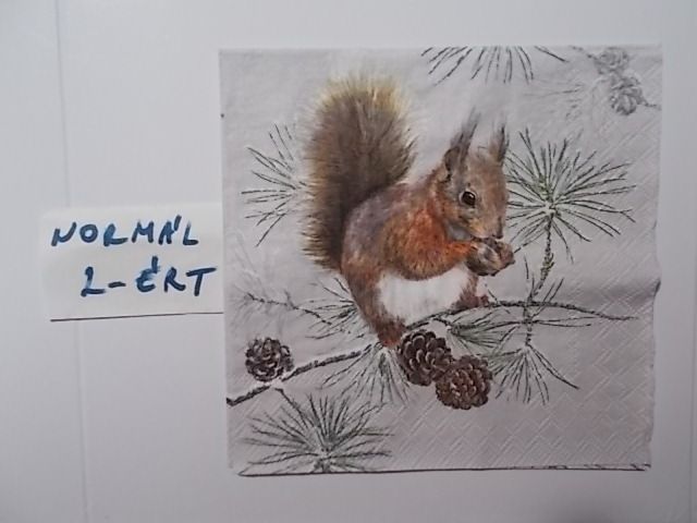 szalvta: PID31947.JPG