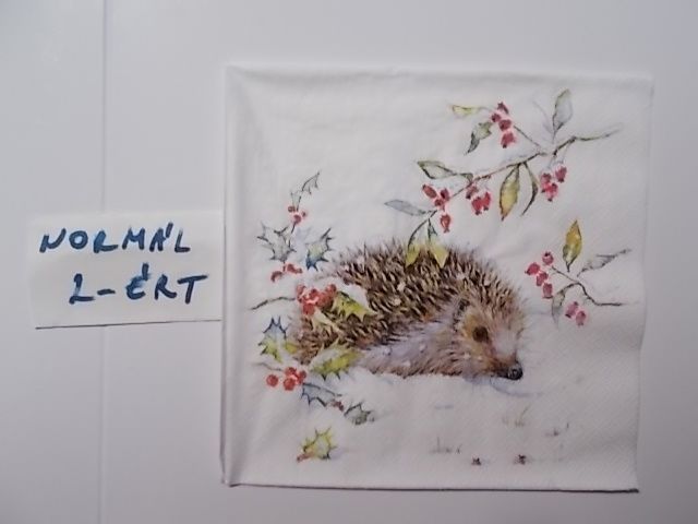 szalvta: PID31952.JPG