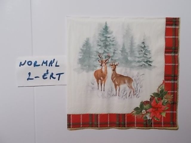 szalvta: PID31962.JPG