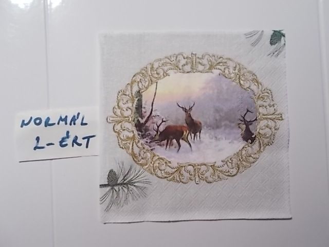 szalvta: PID31963.JPG