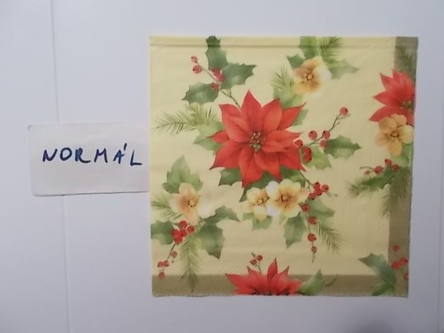 szalvta: PID31969.JPG