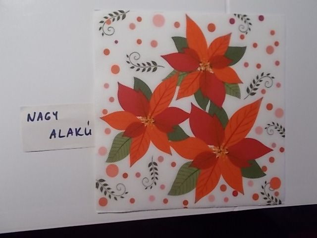 szalvta: PID31978.JPG