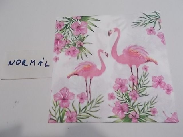 szalvta: PID31989.JPG