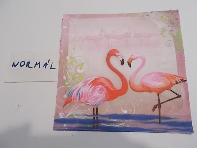 szalvta: PID31990.JPG