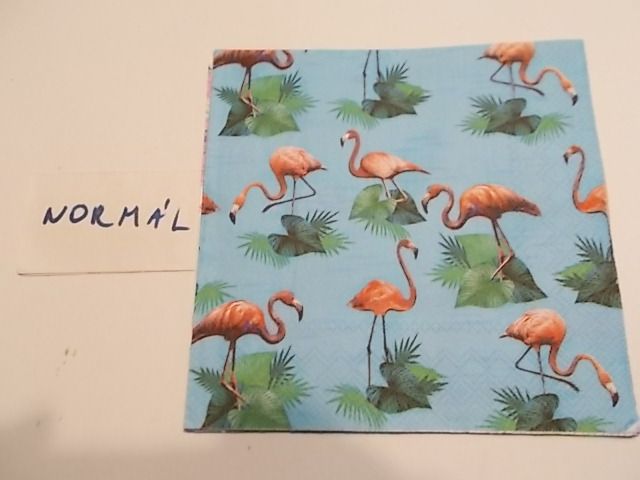 szalvta: PID31991.JPG